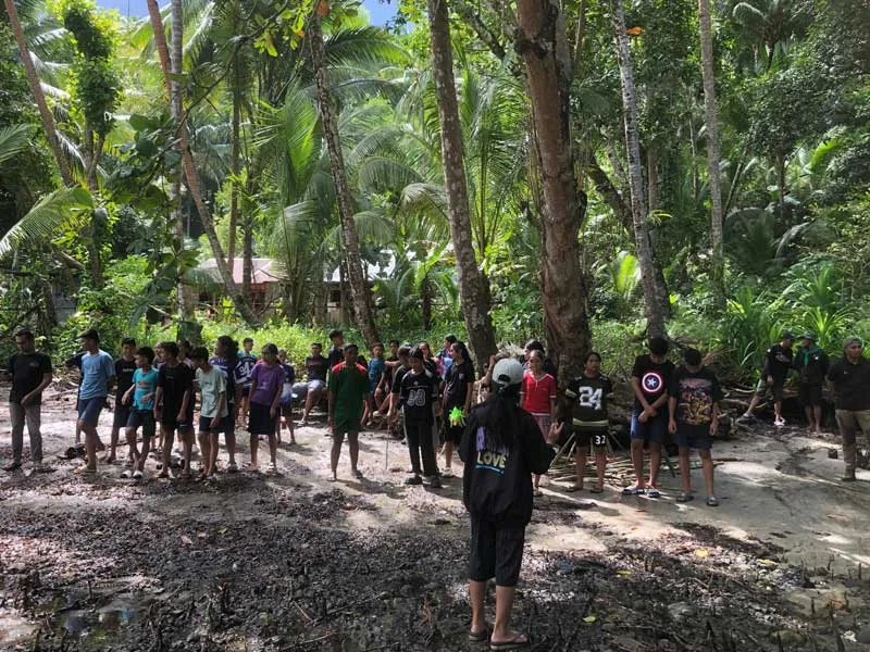 mangrove