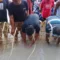 seke maneke